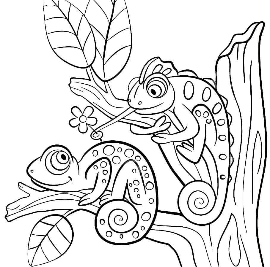 Cute Chameleons coloring page