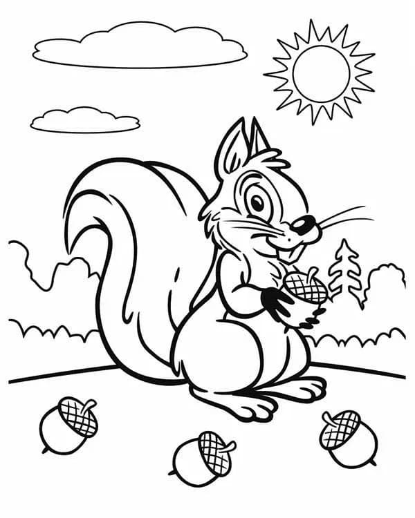 Cute Squirrel and Acorns coloring page