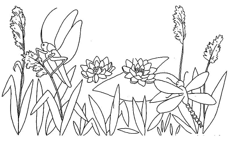 Dragonfly Picture coloring page