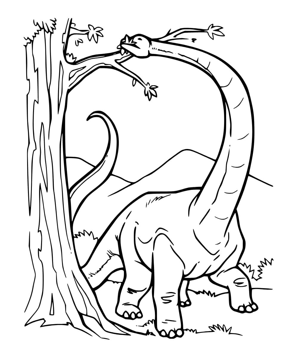 Drawing of Brontosaurus