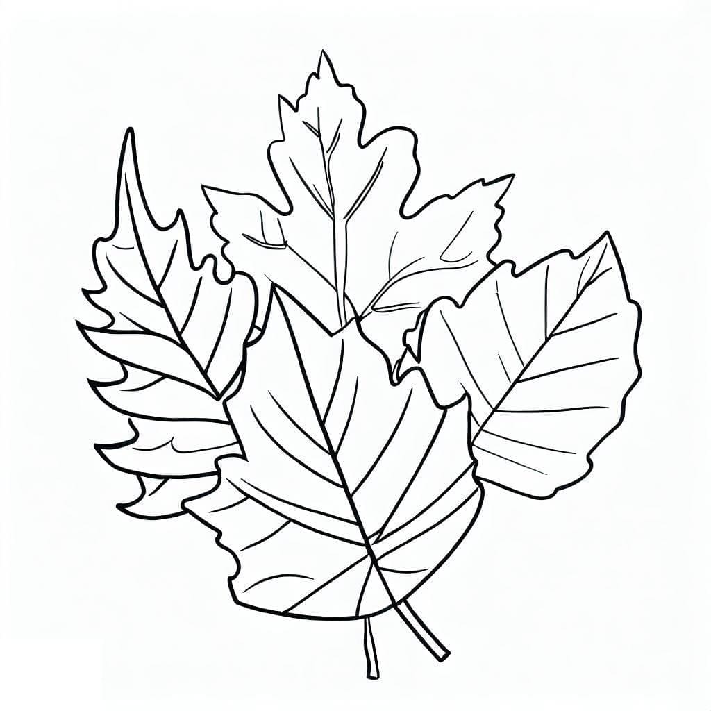 How to Draw Autum Leaves - HelloArtsy