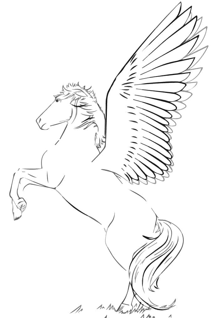 Drawing of Pegasus