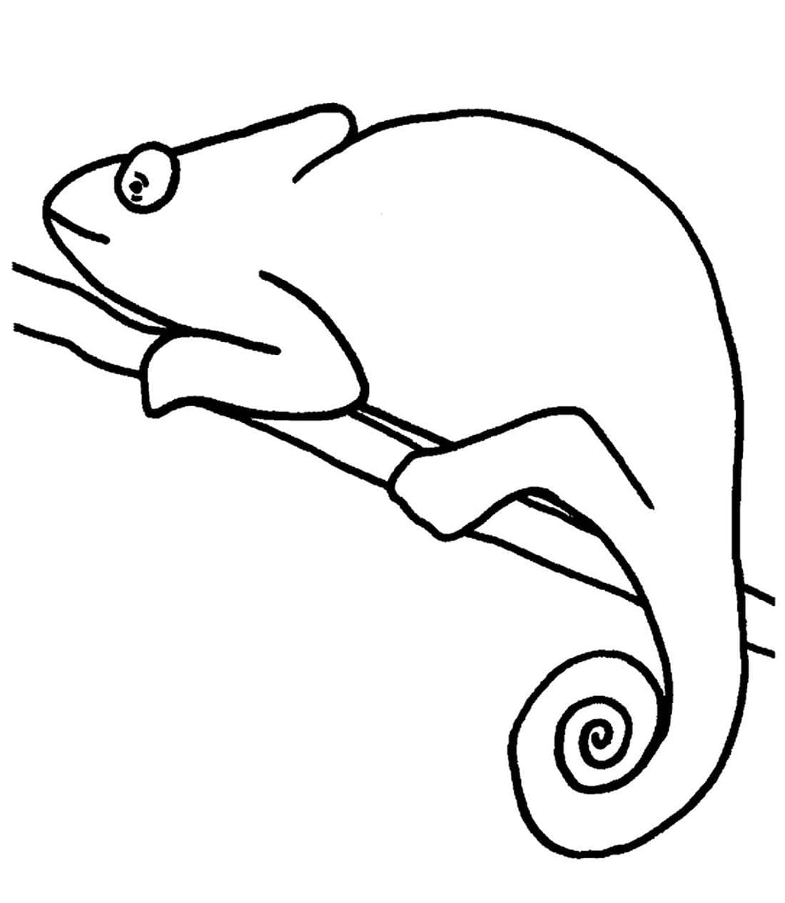 Easy Chameleon coloring page