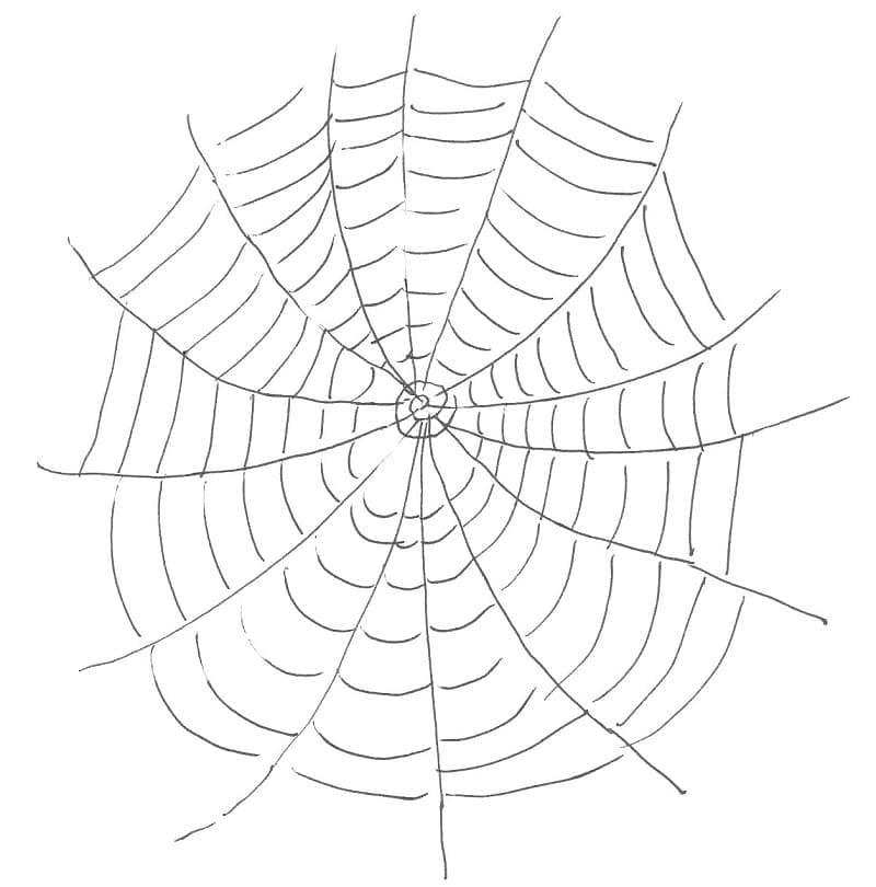 Easy Spider Web coloring page