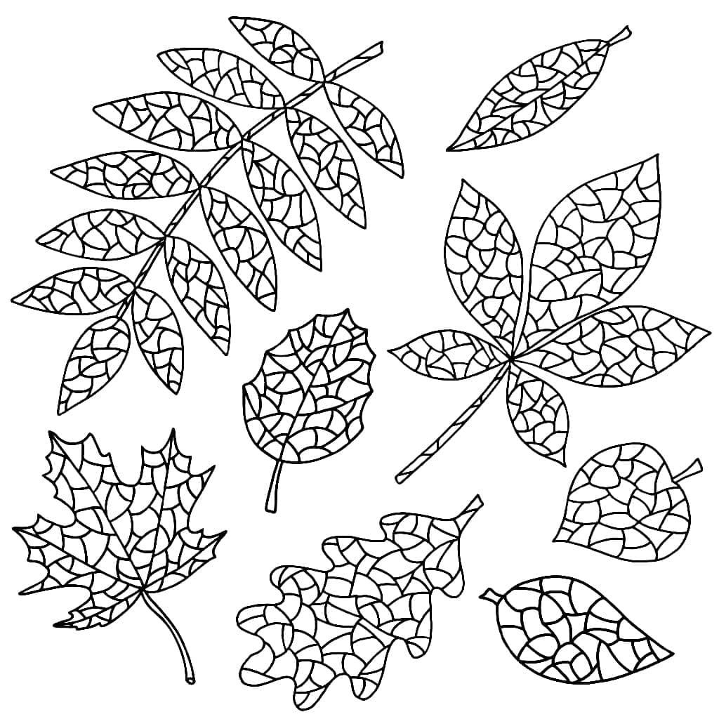 Fall Leaves Antistress coloring page