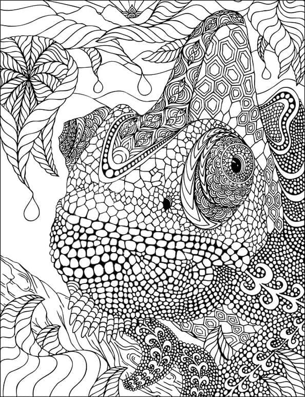 Fantastic Chameleon coloring page