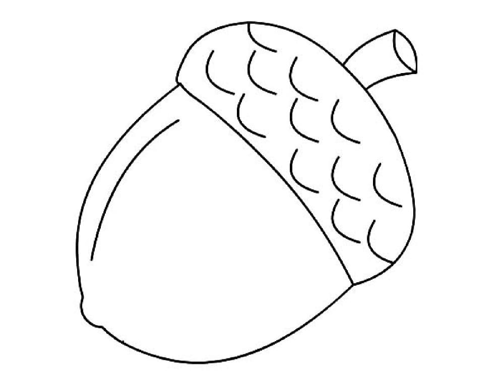 Free Acorn coloring page