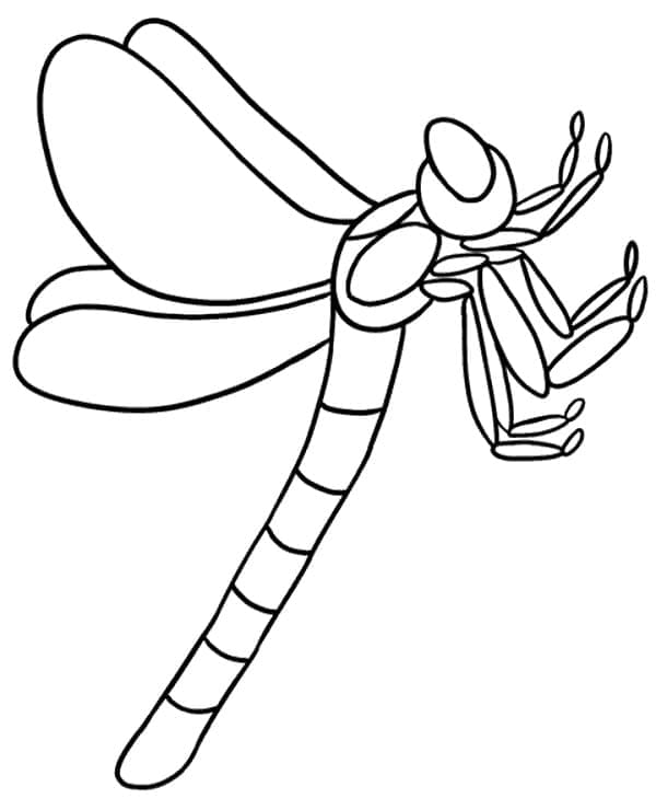 Free Dragonfly coloring page