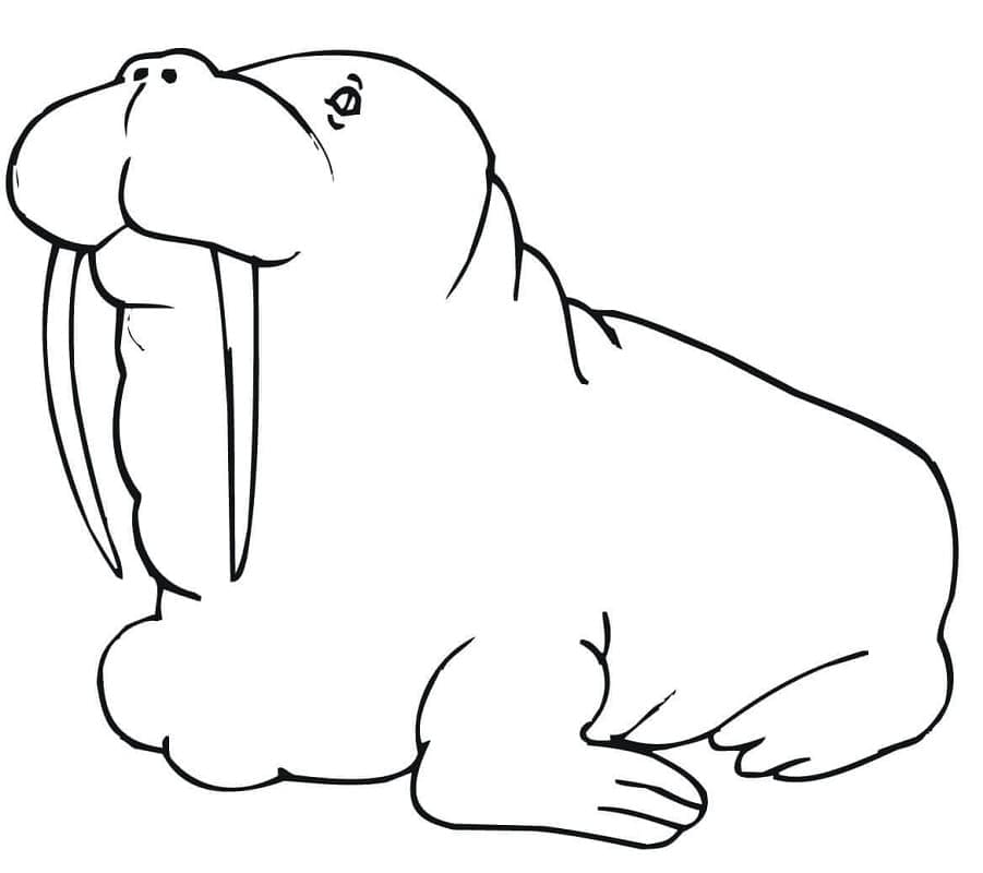 Free Walrus