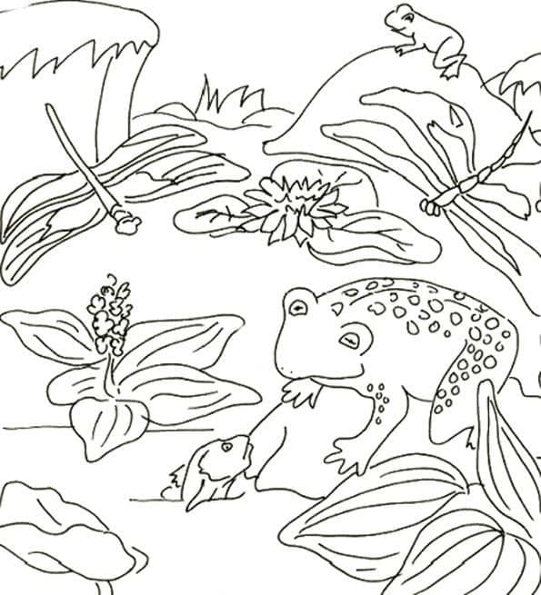 Frogs and Dragonflies coloring page