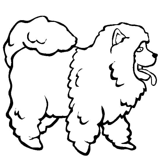 Funny Chow Chow Dog coloring page