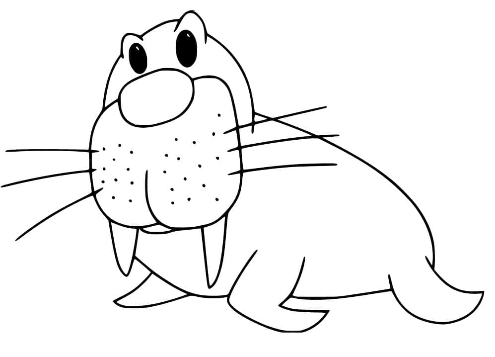 Funny Walrus coloring page