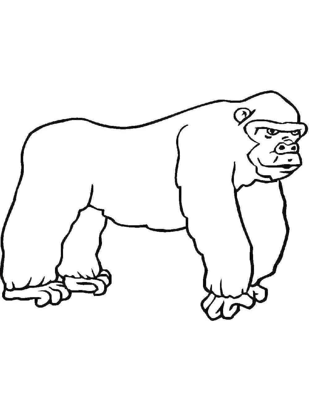 Gorilla For Free coloring page