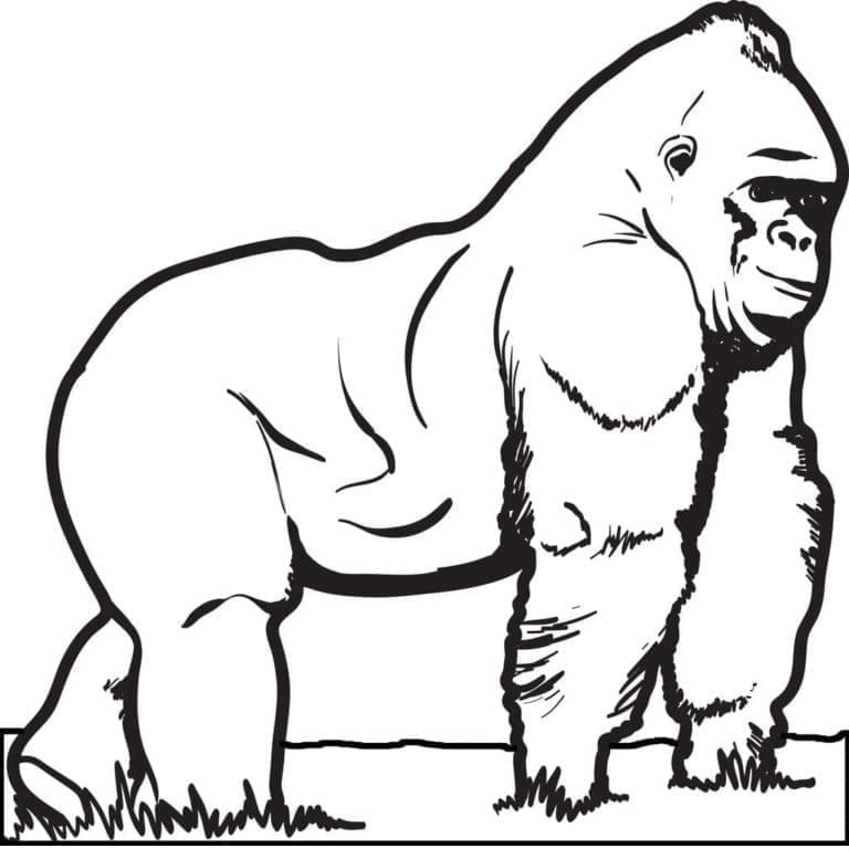 Gorilla Printable coloring page