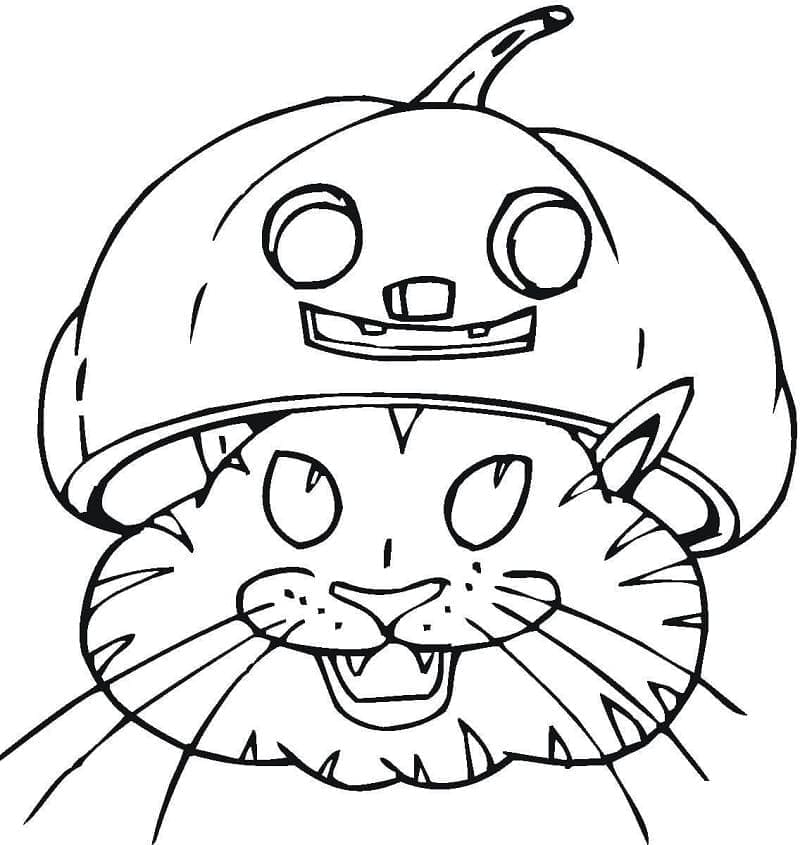 Halloween Cat with Pumpkin Hat coloring page