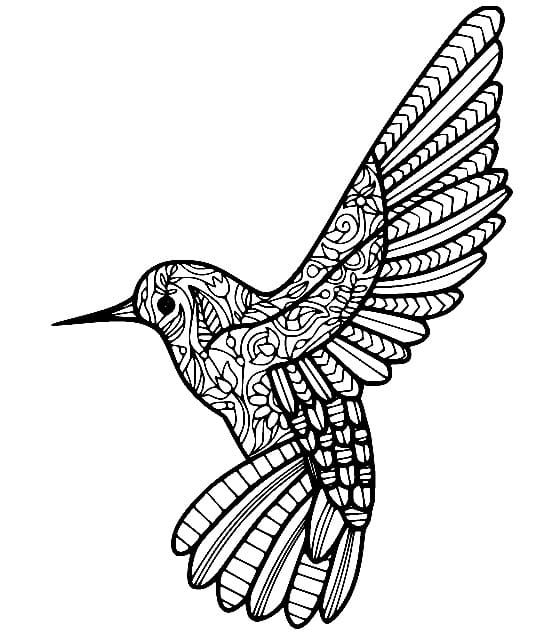 Hummingbird Zentangle