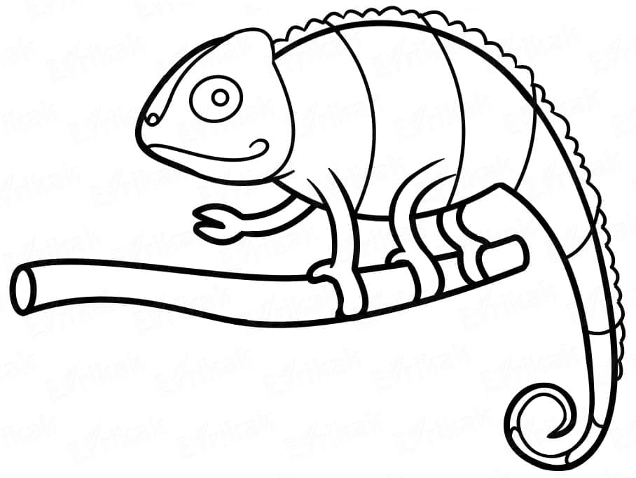 Joyful Chameleon coloring page