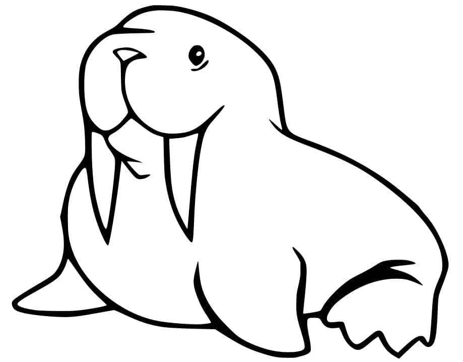 Little Walrus coloring page