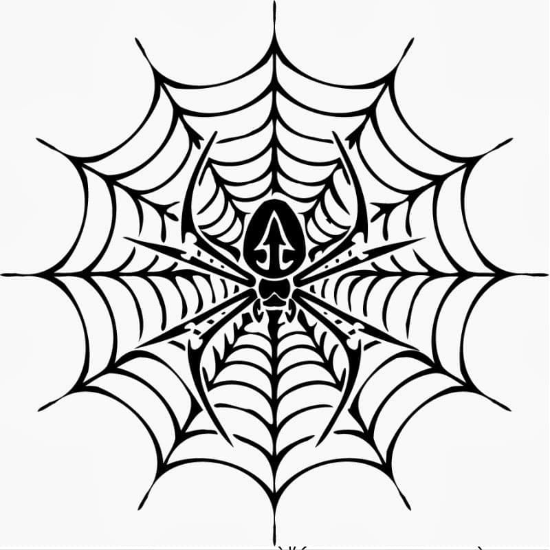 Normal Spider Web