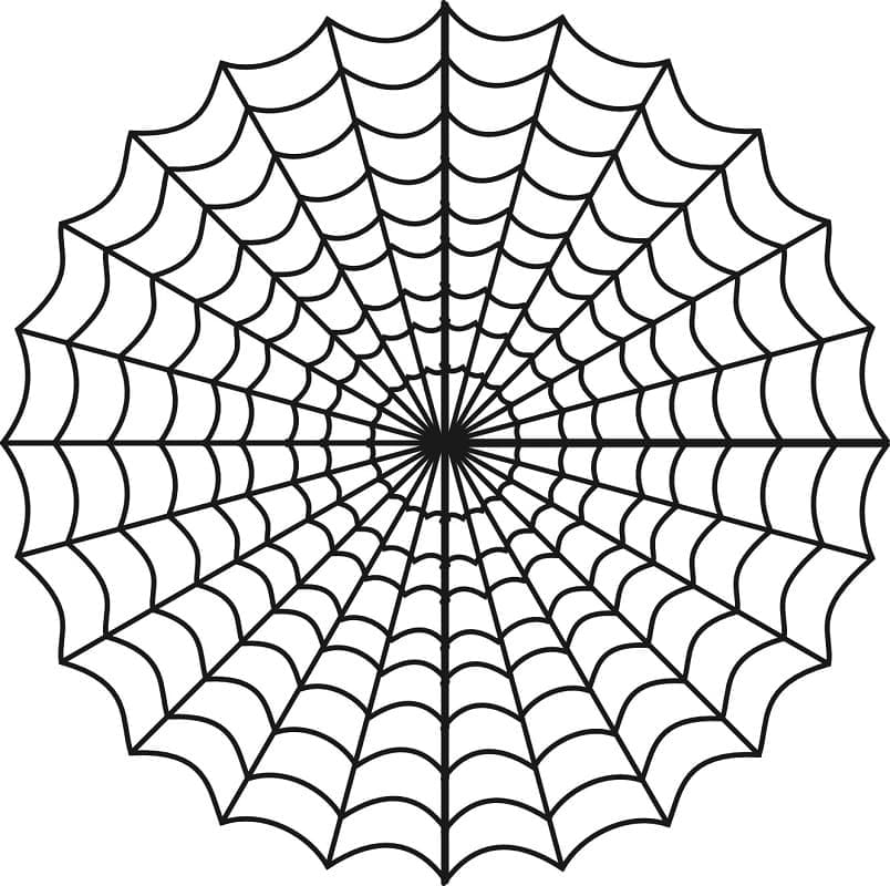 Perfect Spider Web