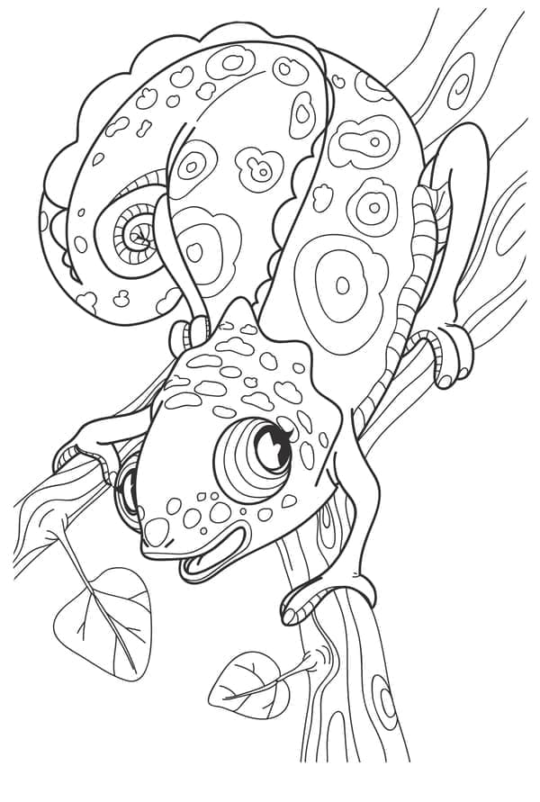 Pretty Chameleon coloring page - Download, Print or Color Online for Free