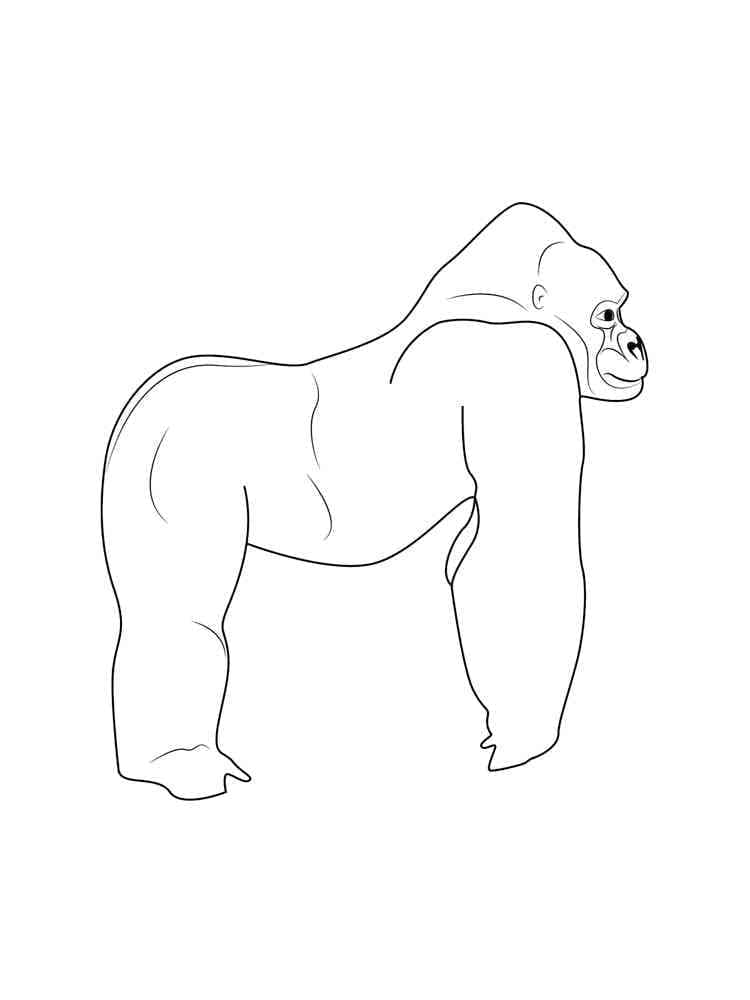 Print Gorilla coloring page