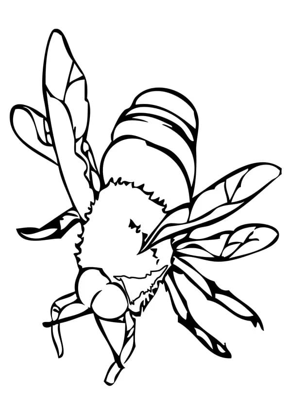 Printable Bumble Bee