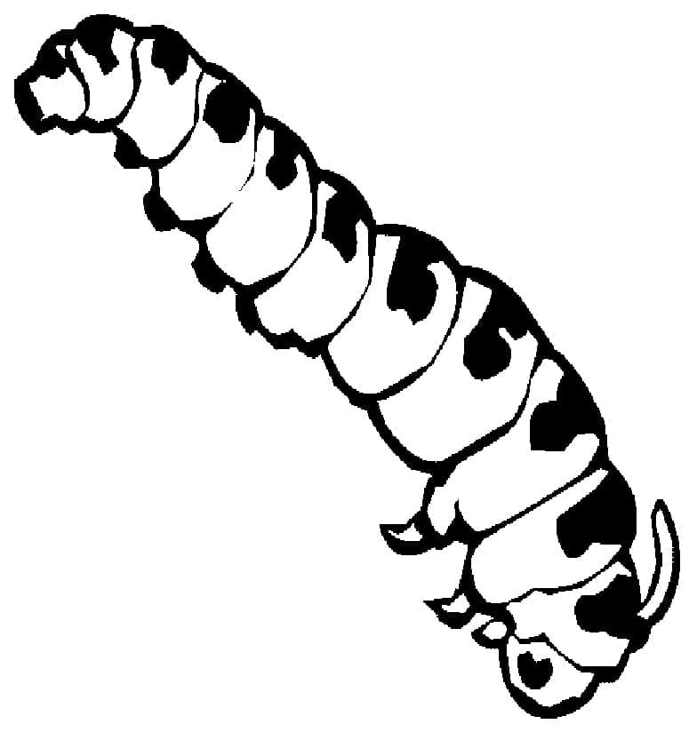 Printable Caterpillar