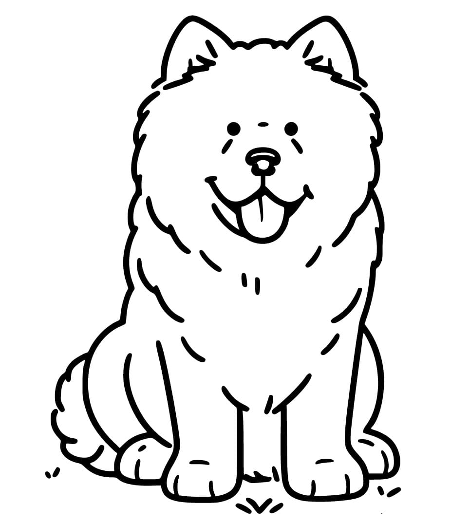 Chow Chow Dog Coloring Pages ColoringLib
