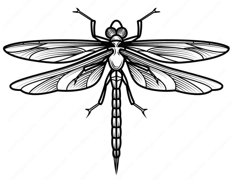 Printable Dragonfly coloring page - Download, Print or Color Online for ...