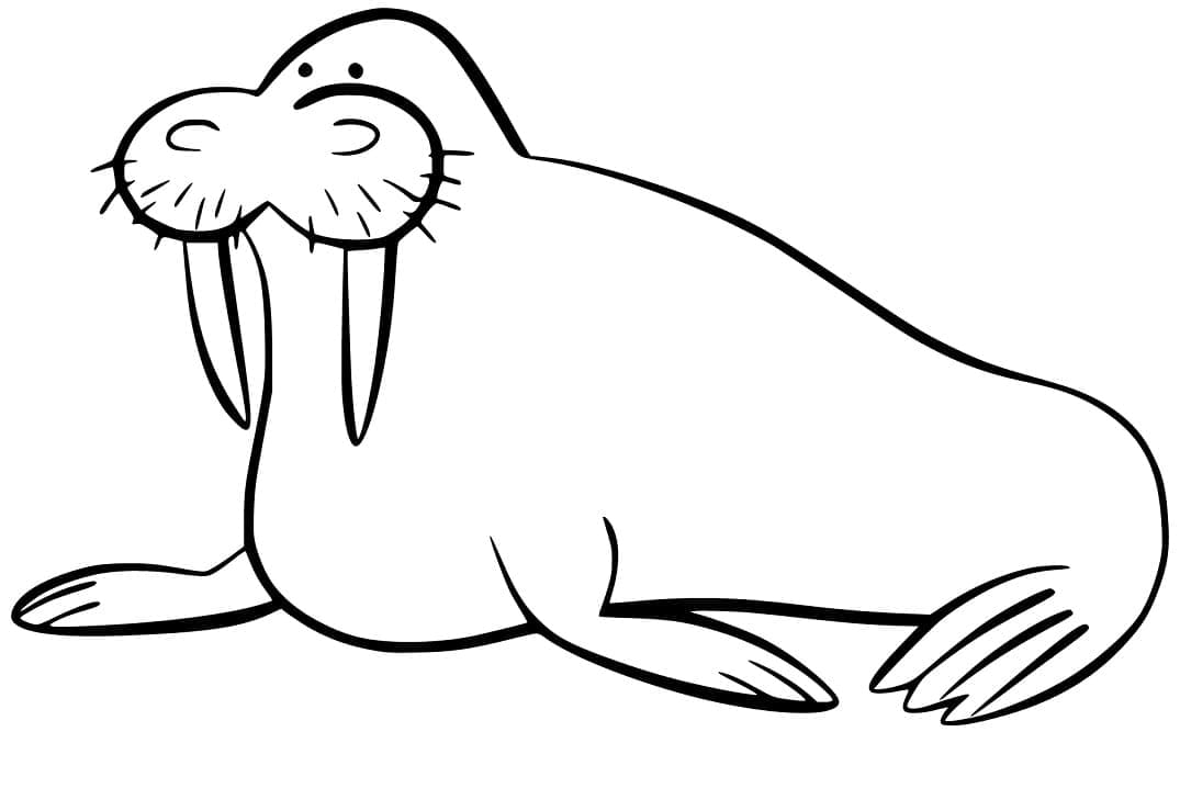 Printable Funny Walrus coloring page