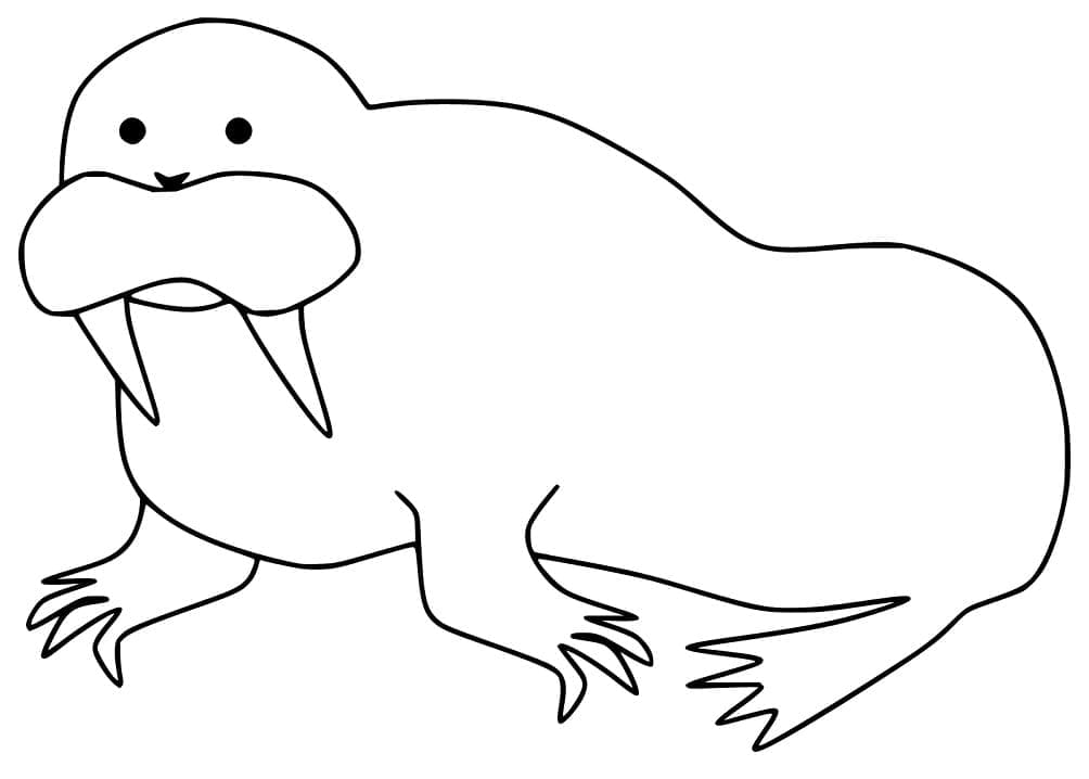 Printable Simple Walrus coloring page