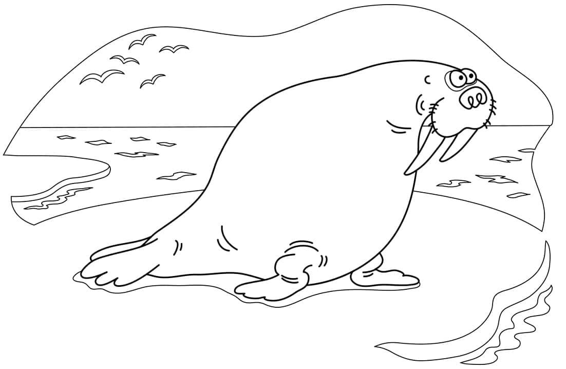 Printable Walrus coloring page