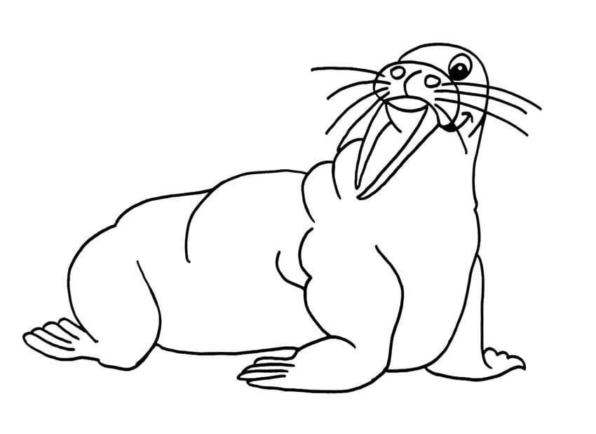 Printable Walrus For Kids coloring page - Download, Print or Color ...