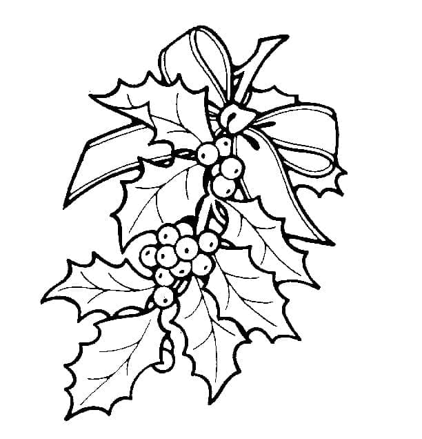 Printable Xmas Holly coloring page