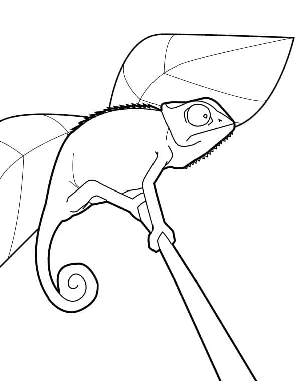 Small Chameleon coloring page