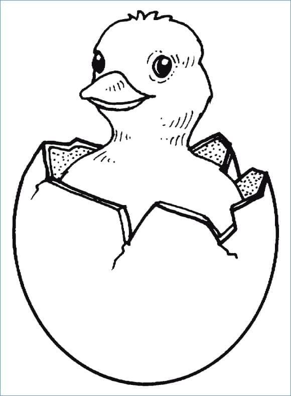 Smiling Chick coloring page