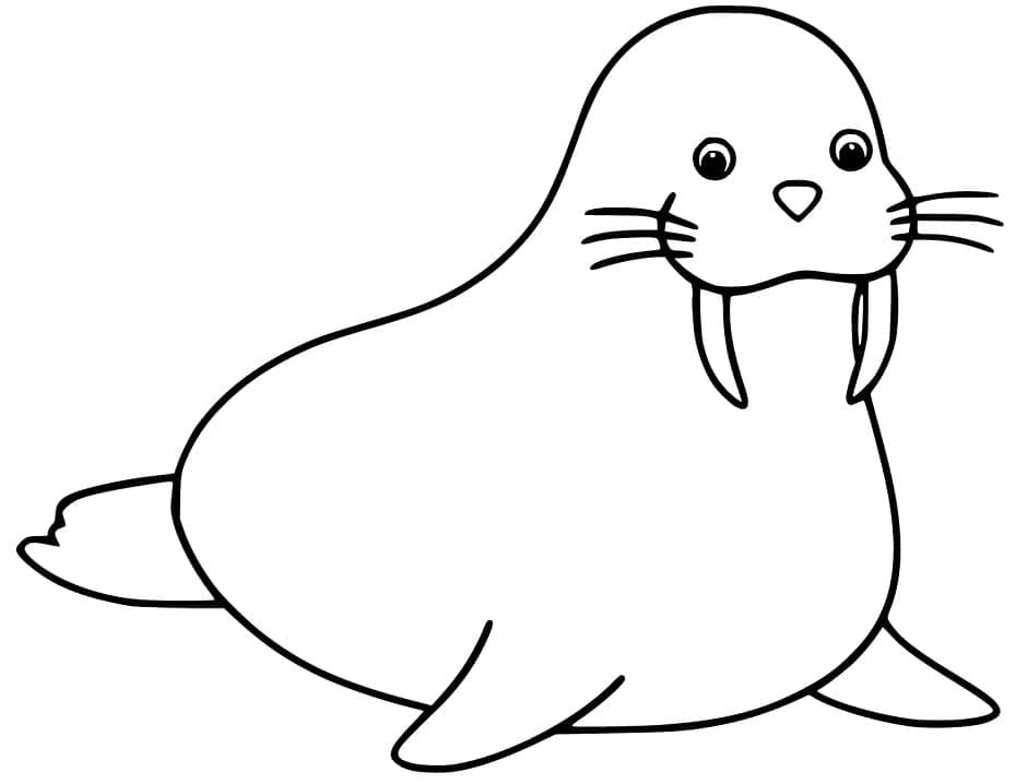 Smiling Walrus coloring page