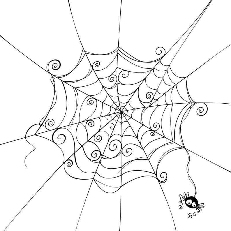 Spider Web For Free coloring page