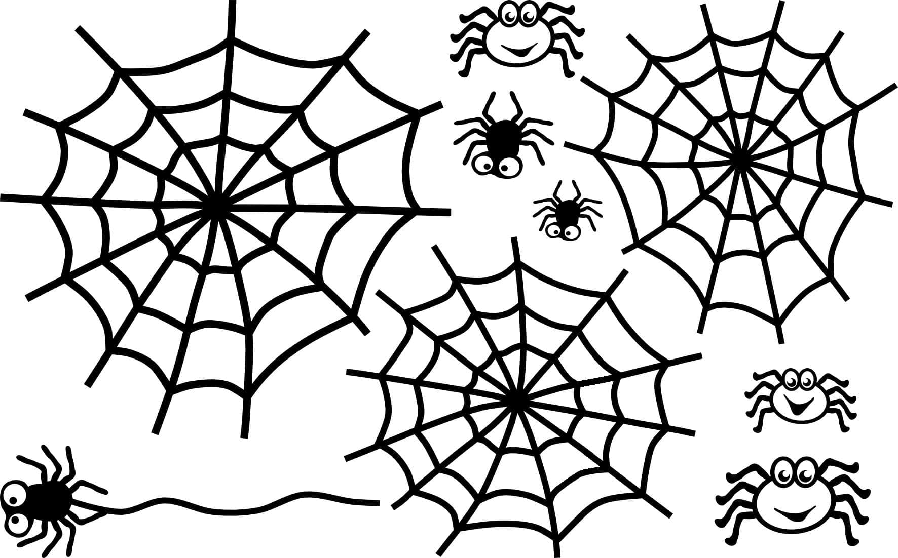 spider-web-free-printable-coloring-page-download-print-or-color