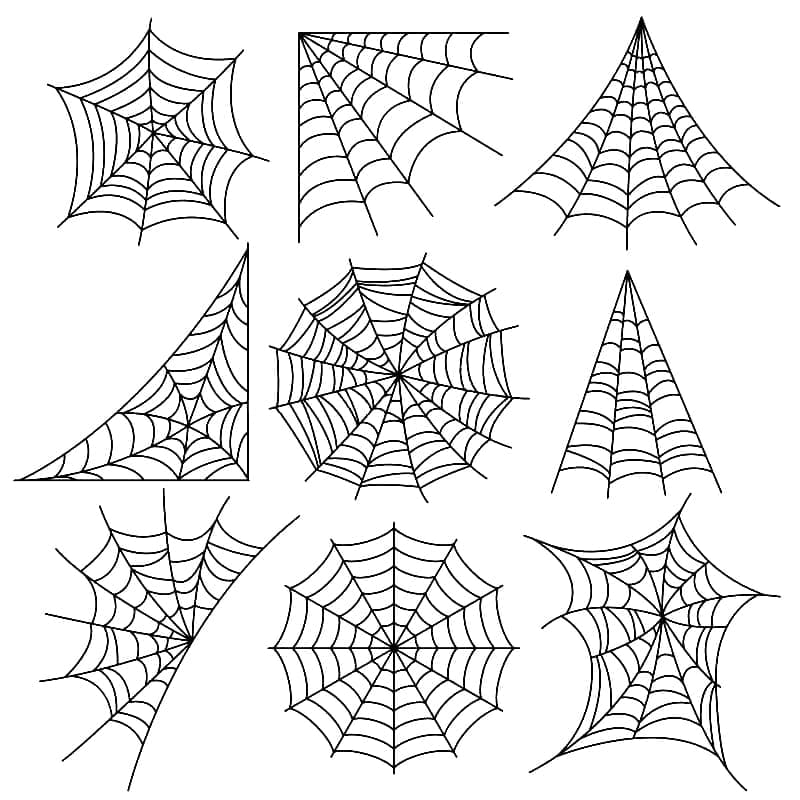 Spider Webs