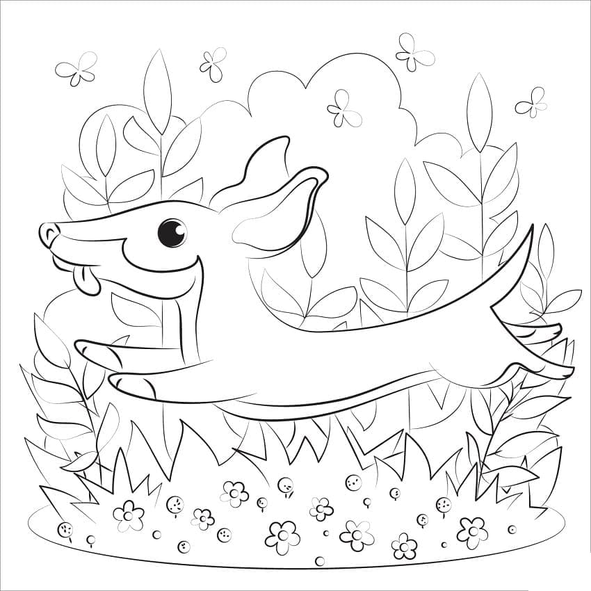 Very Cute Dachshund coloring page