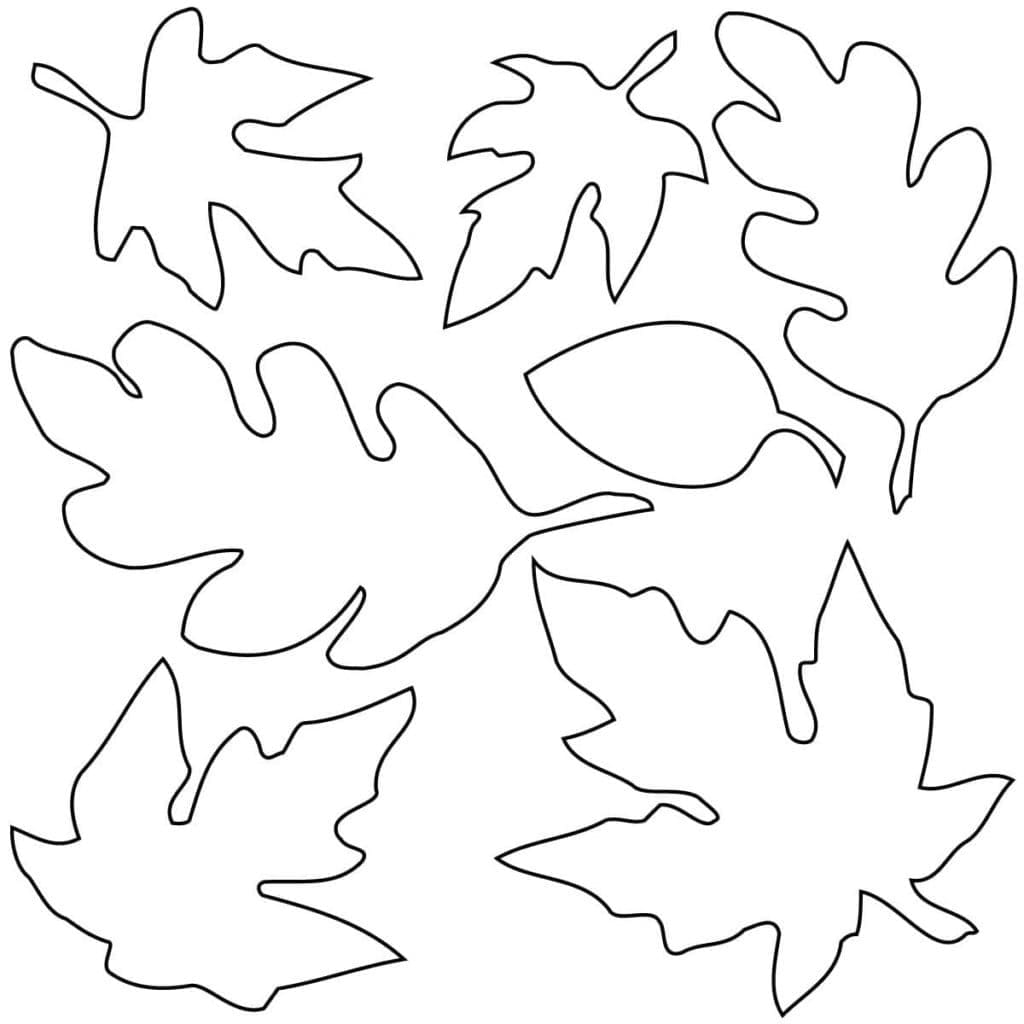 hand drawn doodle autumn leaves set | Leaf drawing, Flower drawing, Doodle  drawings