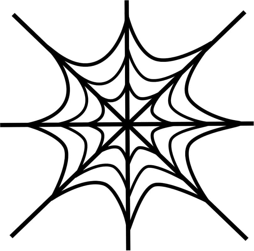 Very Easy Spider Web