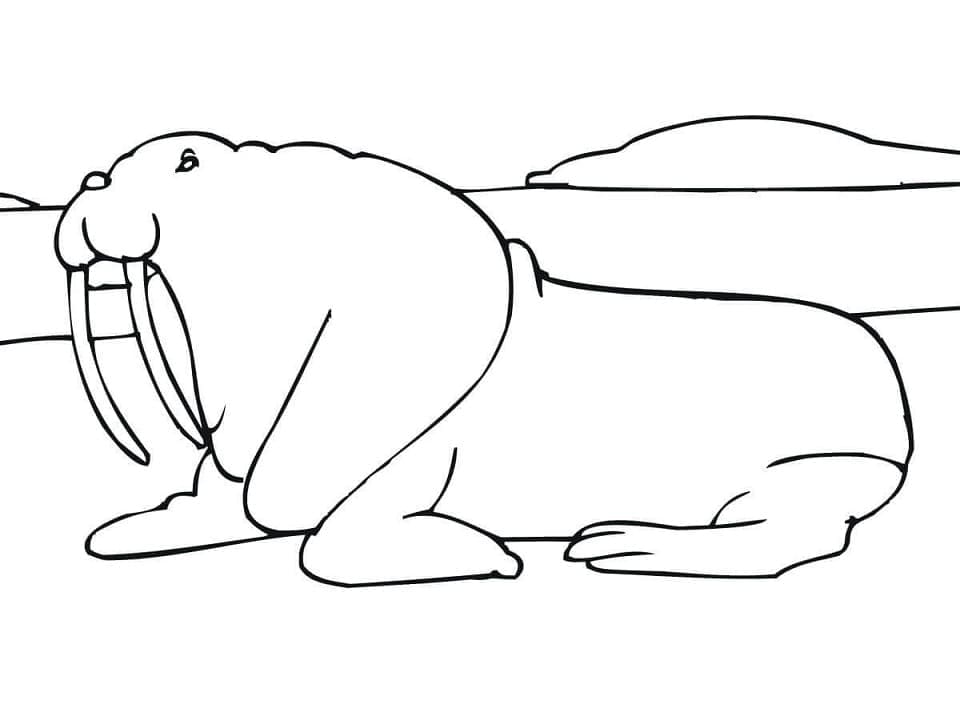 Walrus on a Rookery coloring page