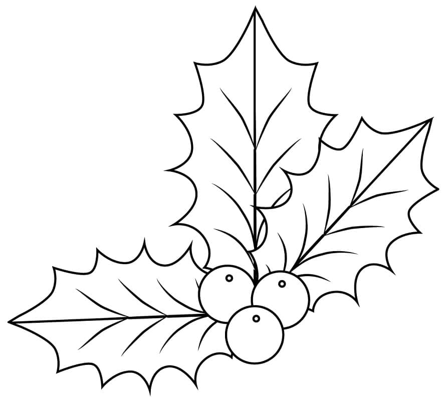 Xmas Holly For Kids coloring page