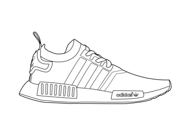 Adidas Sports Sneakers coloring page - Download, Print or Color Online ...