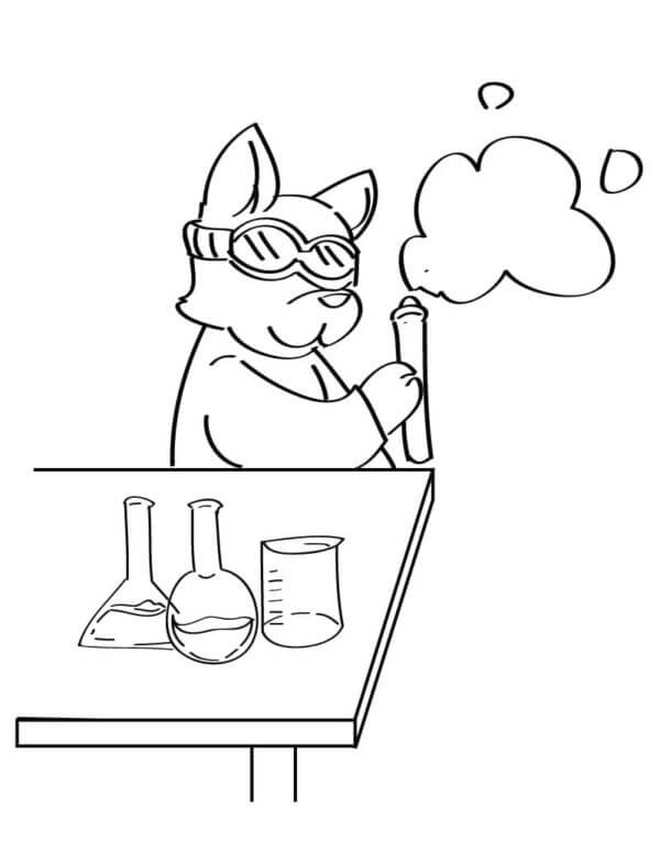 An Important Cat is Conducting Experiments coloring page