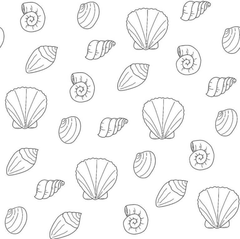 Bunch of Different Seashells