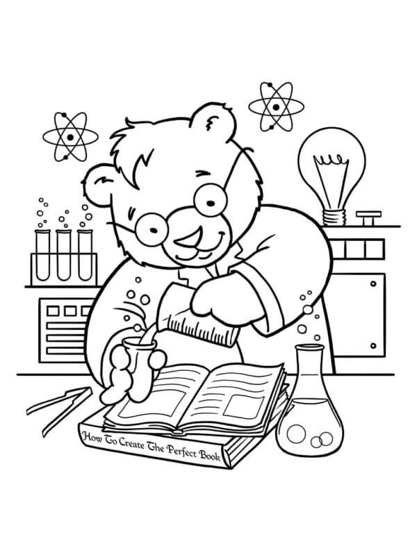 Diligent Teddy Bear Makes Experiments